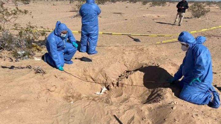 Colectivo encuentra 11 cuerpos en fosas clandestinas en Sonora