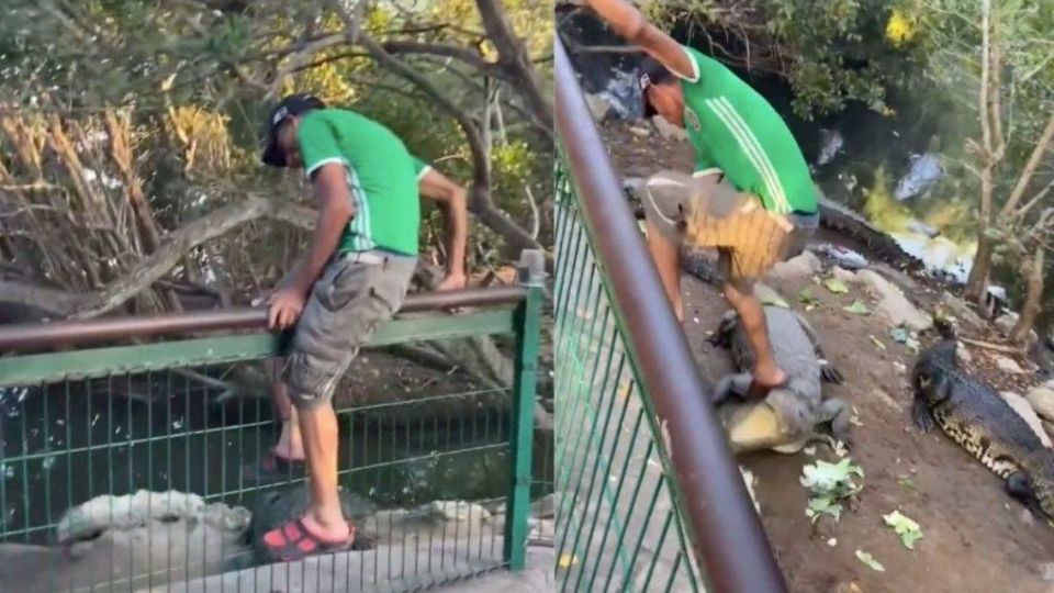 Sin medir las consecuencias de sus actos, y envalentonado por la influencia de alguna sustancia, el hombre se metió a pegarle a los cocodrilos del lugar