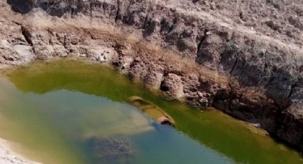 Revelan que familia de Laredo, Texas no murió ahogada; estas fueron las causas