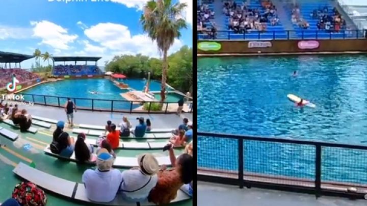 VIDEO: Delfín ataca a su entrenadora en un show de Miami