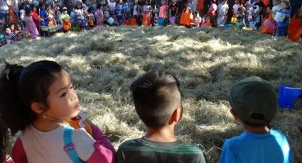 Listos, parques para La Coneja