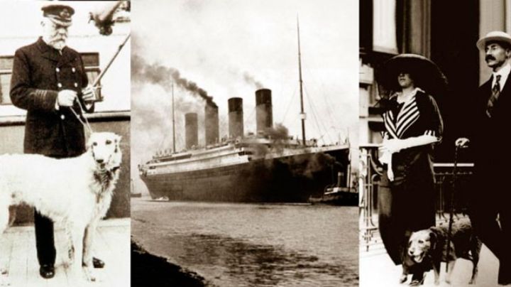 Tragedia del Titanic cumple 110 años: sobrevivieron 3 perritos