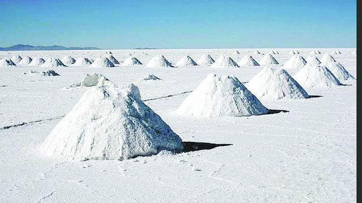 Avalan diputados; litio es de la nación