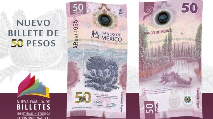 ¡Se lo merece! Billete de 50 pesos del ajolote gana premio por mejor diseño de 2021