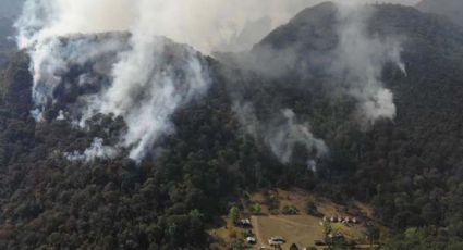 Controlan 80% del incendio en la Biosfera El Cielo, Tamaulipas