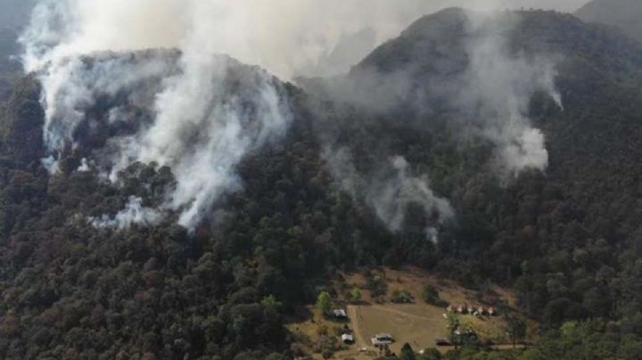 Controlan 80% del incendio en la Biosfera El Cielo, Tamaulipas