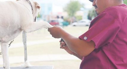 Atienden a ciudadanos y mascotas