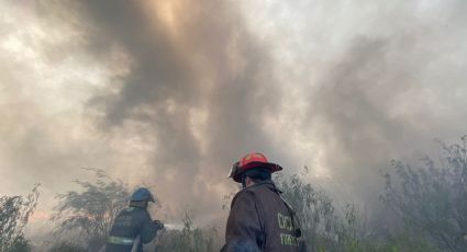 ALARMANTE: Suman 3 incendios forestales en Tamaulipas