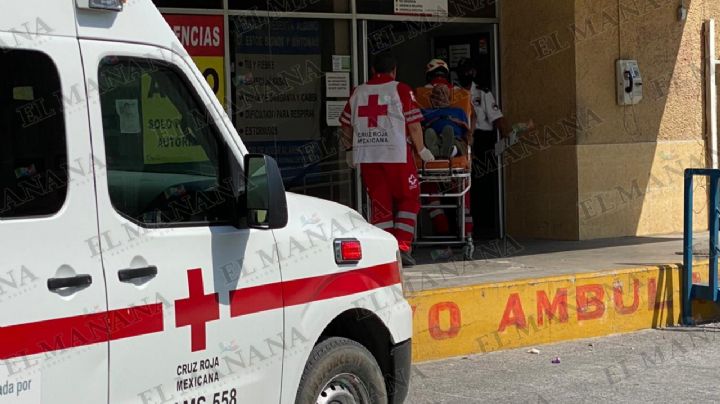 ¡Lamentable! Comerciante neoladerense muere al ser atacado por enjambre de abejas.