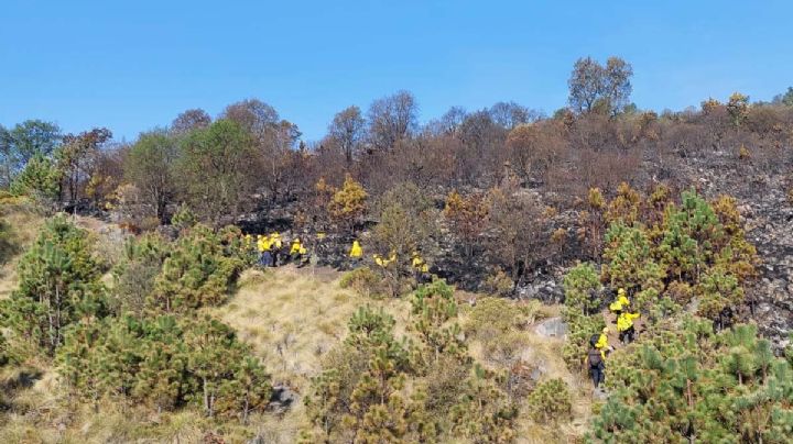 Muere brigadista voluntario en incendio forestal de Veracruz; era agricultor