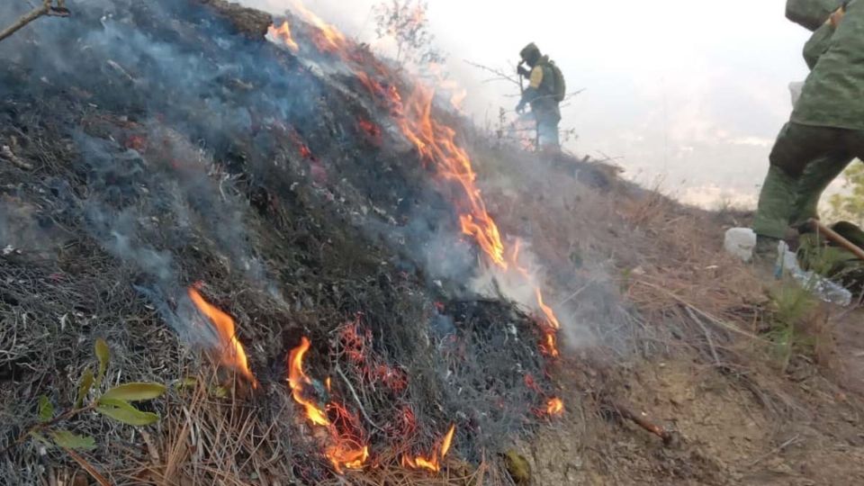 Al combate del incendio se han sumado aeronaves, las cuales han apoyado a combatirlo