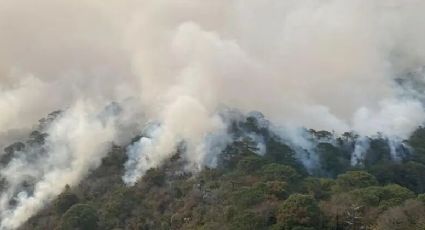 Se registra otro incendio en biósfera 'El Cielo'