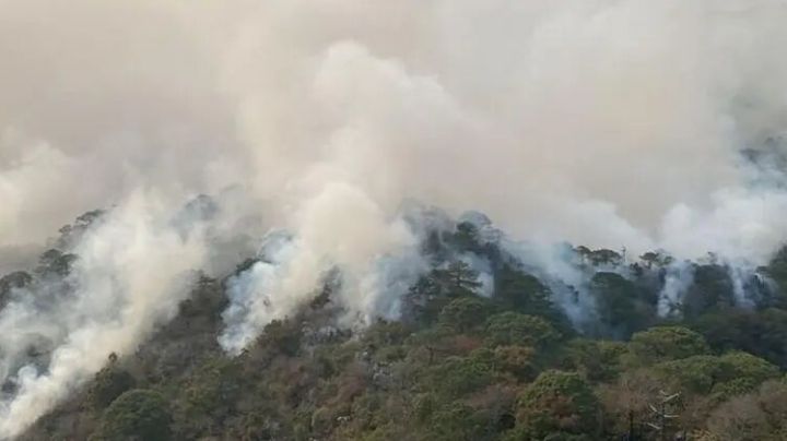 Se registra otro incendio en biósfera 'El Cielo'