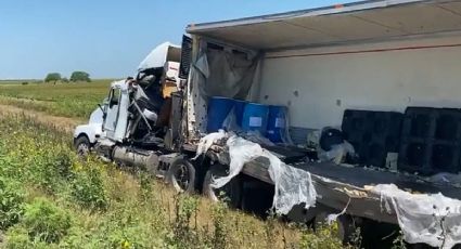 Tráiler que iba repleto de toneladas de cadáveres de perros y gatos no contaba con permisos