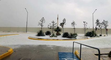 VIDEO: Galeana, Nuevo León luce paisajes nevados... ¡En plena primavera!