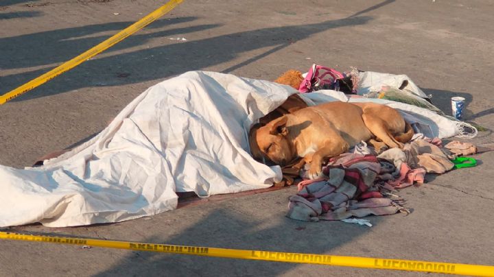¡Conmovedor! Perrito no se despega de su amigo quien murió fuera del metro en CDMX