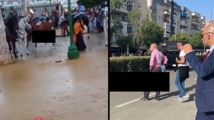 Mueren caballos por golpe de calor y sobresfuerzo en Feria de Sevilla, España