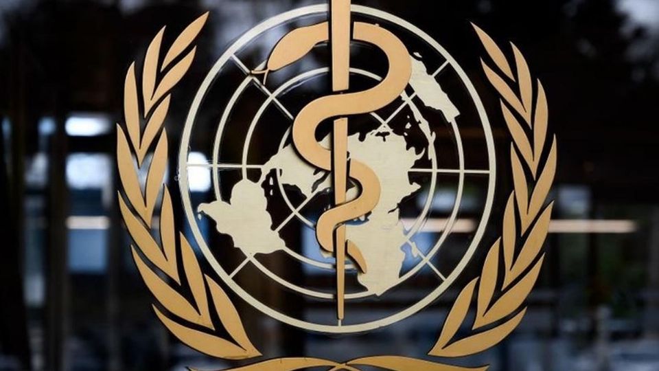 Hasta el momento, la Organización Mundial de la Salud ha contabilizado al menos 230 casos de hepatitis