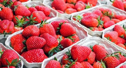 Vinculan casos de hepatitis en EU con fresas contaminadas