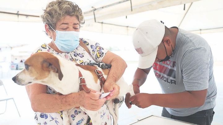 Llevan Brigada de Salud Mixta a colonia El Progreso