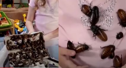 VIDEO: Niña tiene su propio criadero de cucarachas con más de 4mil ejemplares como mascota