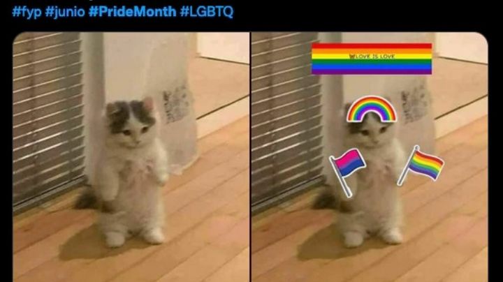 Inició junio el “Pride Month” y el internet se llenó de  memes el orgullo LGBT