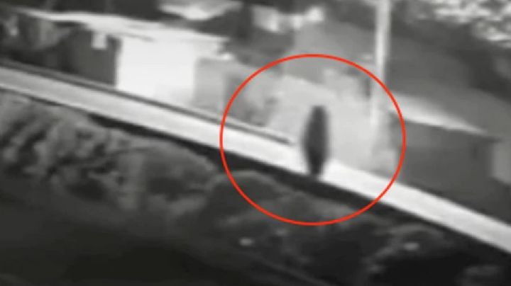 Jaime Maussan difunde video de supuestos seres “humanoides” que según los perro sí ven