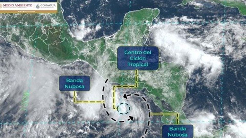 El Servicio Meteorológico Nacional explica que “Celia” presenta vientos máximos de 65km/h, rachas de 85 km/h y se desplaza hacia el nor-noreste.