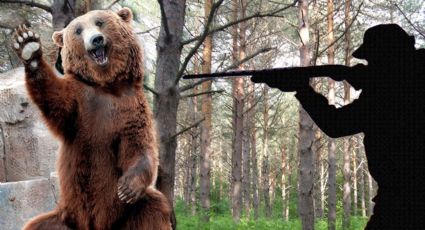 Karma instantáneo: Antes de morir, oso mata al cazador que le disparó