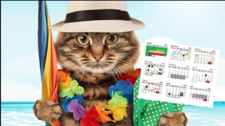 ¡Acortan el ciclo escolar en Tamaulipas! Esta es la nueva fecha de salida para los estudiantes