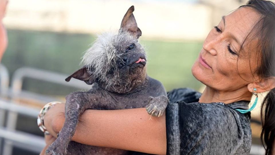 su característico semblante en donde se le puede ver con su lengua siempre de lado, un penacho blanco de pelos canosos, un par de orejas cortas y siempre alertas además de sus grandes ojos negros que le han dado la corona al titulo de: 'El perro más feo del mundo'