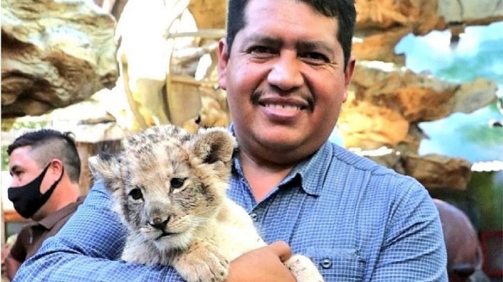 11 periodistas han muerto en México este año; los crímenes son condenados por la SIP