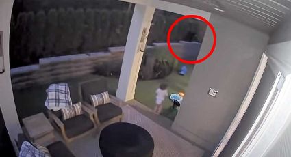 VIDEO Bebé ve a un oso salvaje en el patio y corre a abrazarlo