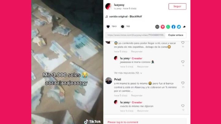 VIDEO Una rata se devora los ahorros de su vida