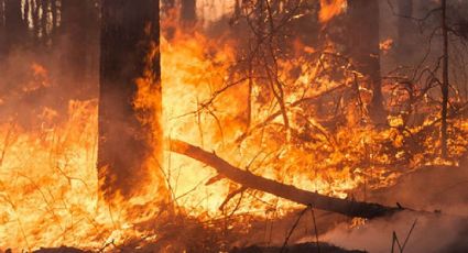 CONAFOR: Nuevamente aumentan los incendios forestales; reportan 32