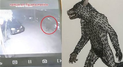 ¿Primero Ovnis?... ahora captan supuesto nahual en Tijuana (VIDEO)