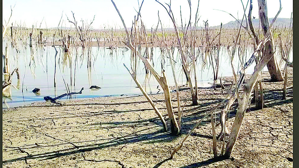 Tamaulipas enfrenta problemas de sequía en casi 70 por ciento