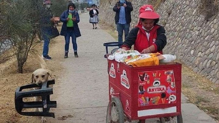 Leal amigo: Perrito ayuda a su dueña cargando su silla mientras vende helados