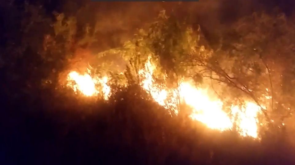 Con la nueva ordenanza buscan evitar incendios forestales.