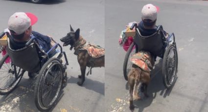 VIDEO: Perrito ayuda a su dueño en silla de ruedas a vender dulces en EDOMEX