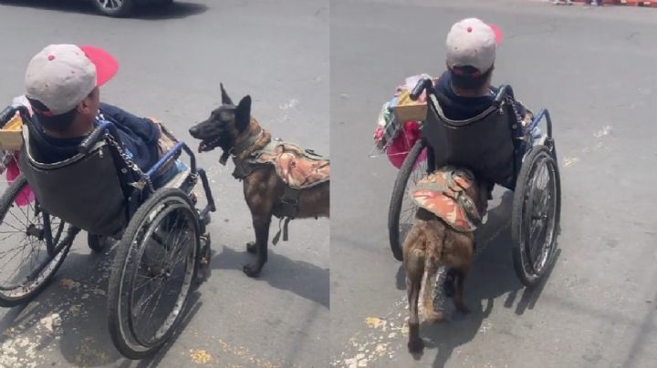 VIDEO: Perrito ayuda a su dueño en silla de ruedas a vender dulces en EDOMEX