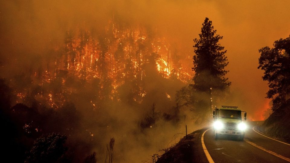 Los incendios están fuera de control y acaban con los bosques