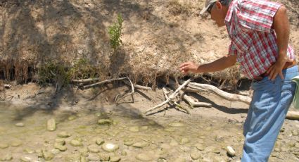 La corrupción hizo crecer crisis del agua en ejido Nuevo Rodríguez