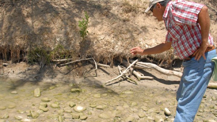 La corrupción hizo crecer crisis del agua en ejido Nuevo Rodríguez