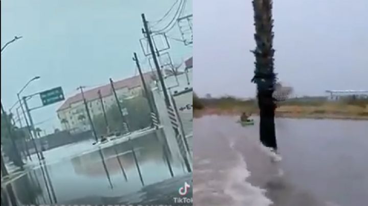 VIDEOS: A falta de carro... Neolaredenses dan paseo en kayak por la Municipio Libre