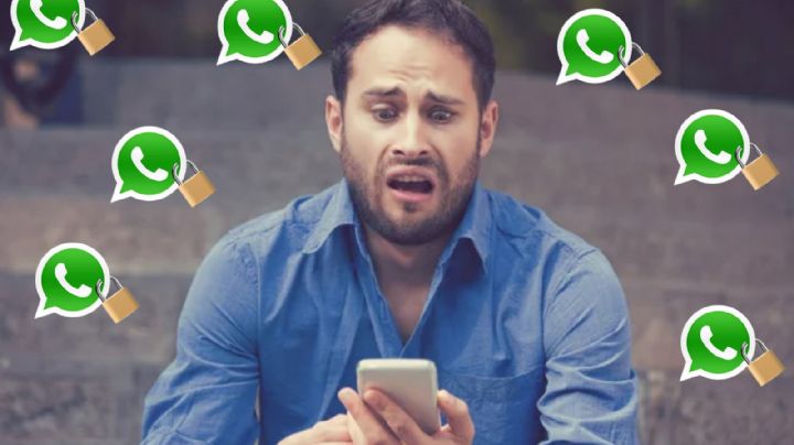WhatsApp tendrá palabras prohibidas; escribirlas podría causar que bloqueen tu cuenta