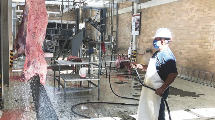 Triplica Rastro su producción