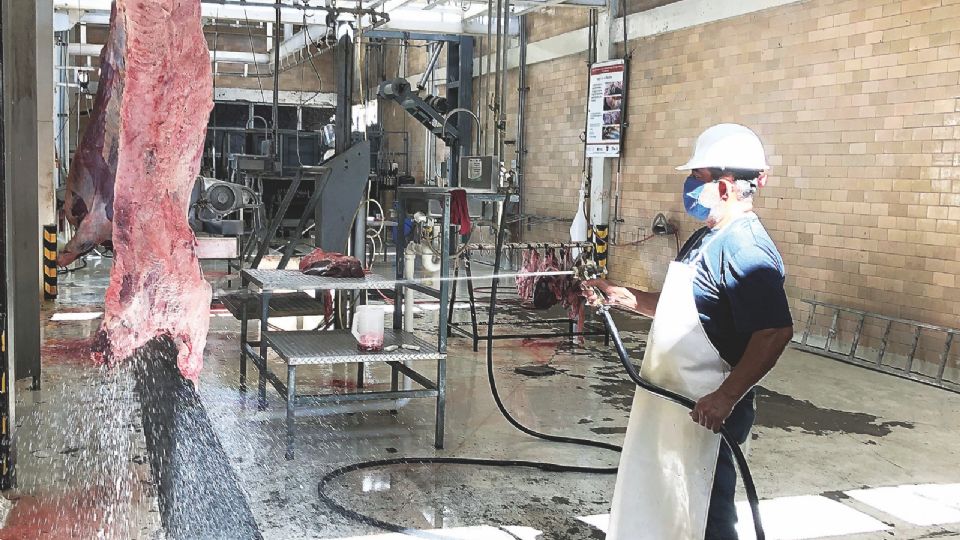 El sacrificio de reses es el que tuvo el mejor repunte en el primer semestre del 2022.