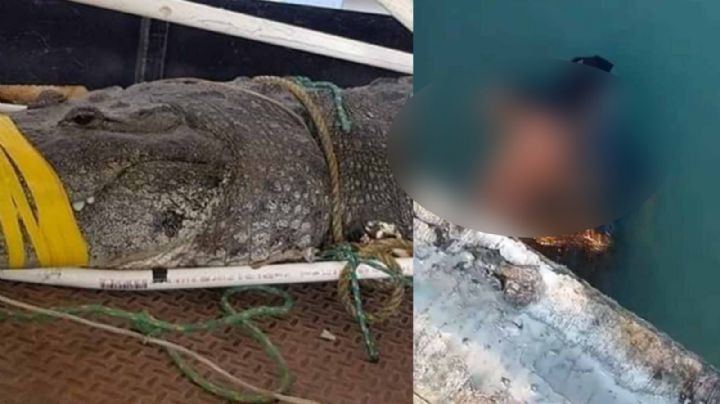 Buscan brazo arrancado a hombre por cocodrilo en la Laguna del Carpintero