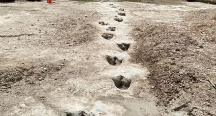 Huellas de dinosaurio son descubiertas tras grave sequía en río de Texas